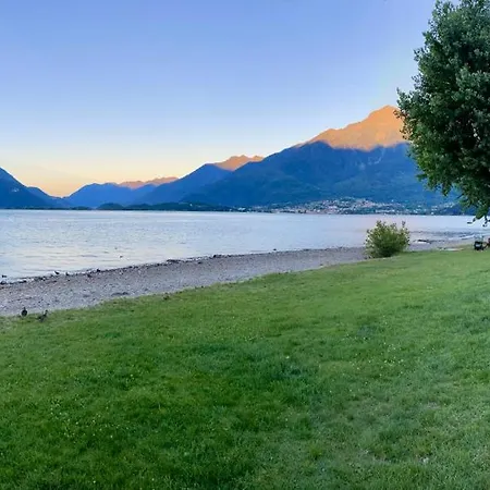 Apartament Casa Viola - Near The