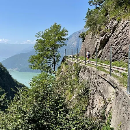 Casa Viola - Near The Apartament